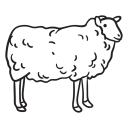 Curso de ovelhas Desenho PNG