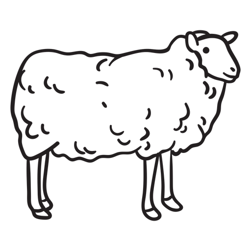 Sheep stroke - Transparent PNG & SVG vector file