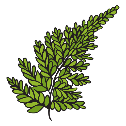 Silver fern hand drawn PNG Design