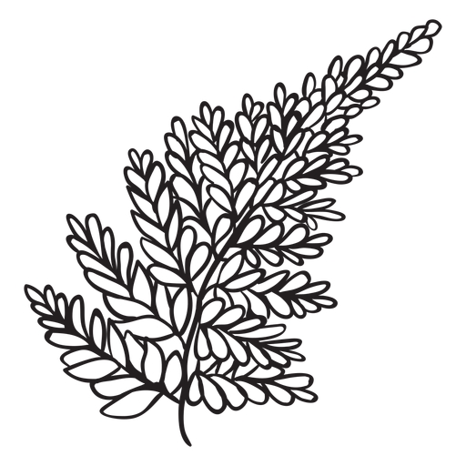 Silver fern stroke PNG Design