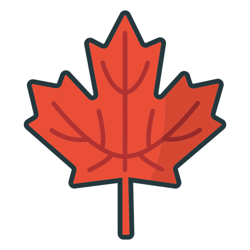 simple maple leaf colored PNG Design