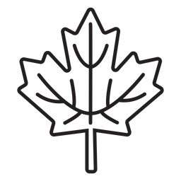 trazo de hoja de arce simple Diseño PNG