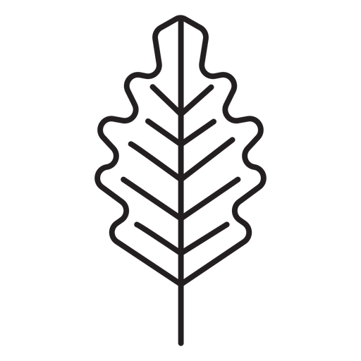 simple leaf stroke PNG Design