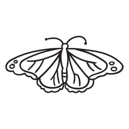 Vista superior del trazo de mariposa Diseño PNG