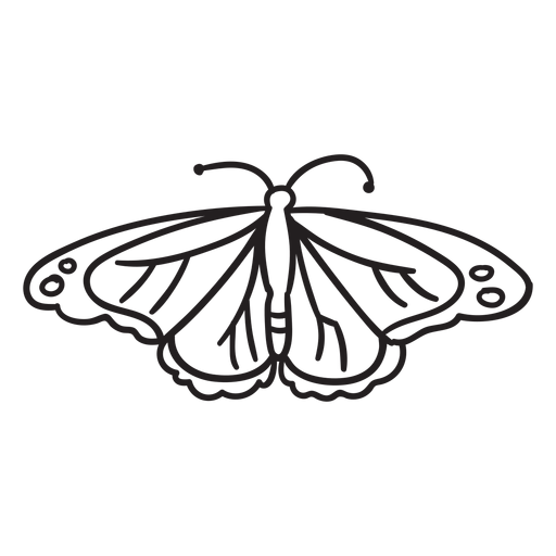 Vista superior del trazo de mariposa Diseño PNG