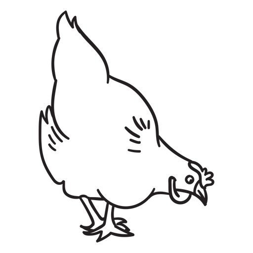 Download Chicken Looking Down Transparent Png Svg Vector File