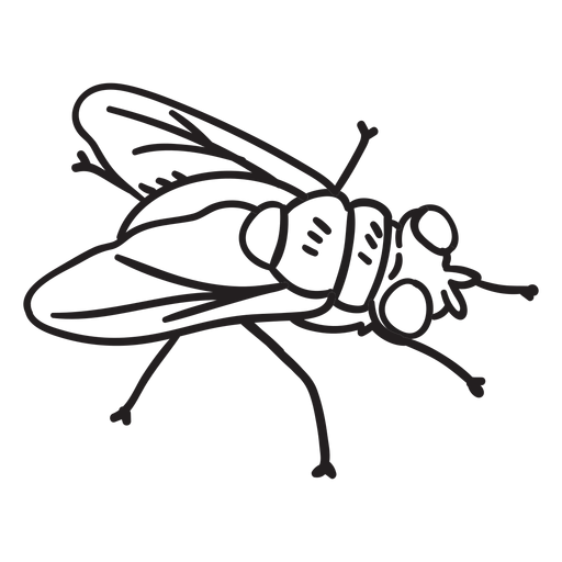 Fly topview drawing PNG Design