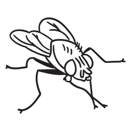 Einfaches Fliegenzeichnen PNG- Und SVG-Design Für T-Shirts