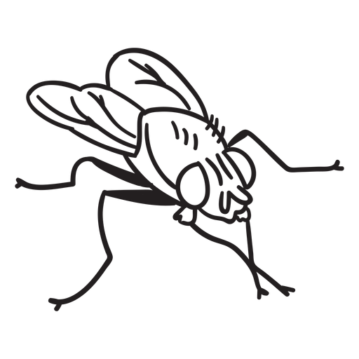 Desenho simples de mosca