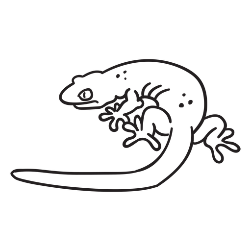 Curso simples lagarto Desenho PNG