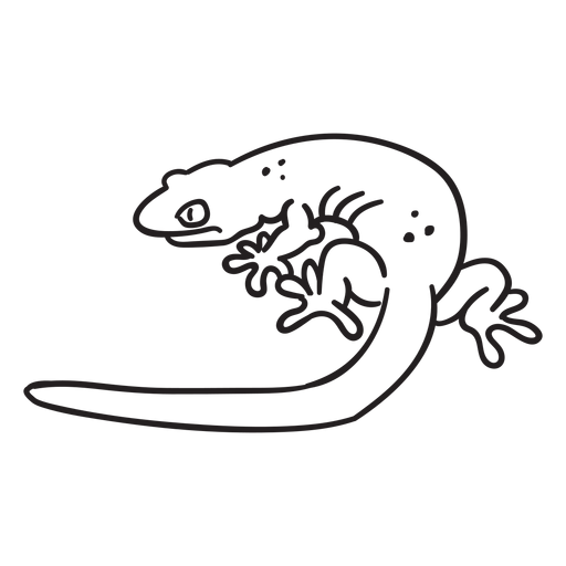 Trazo simple lagarto Diseño PNG