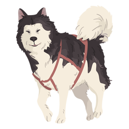 cute wolf illustration cute wolf illustration