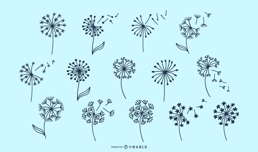 Dandelion flowers collection Dandelion flowers collection