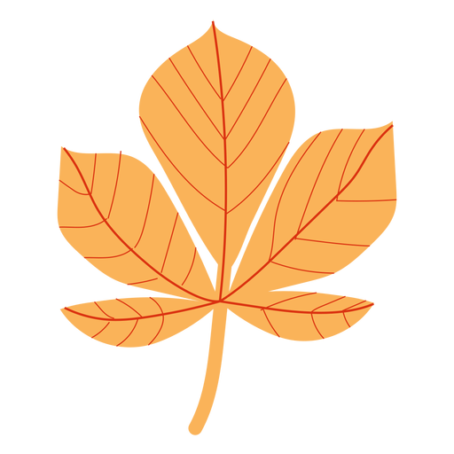 Flacher Herbstahorn PNG-Design