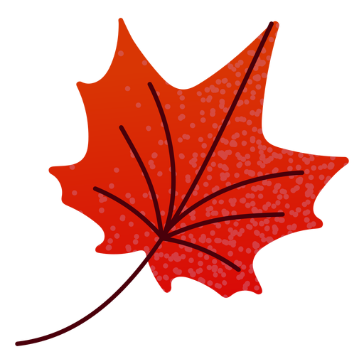 Flat autumn red maple leaf PNG Design