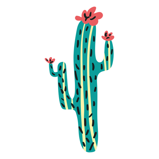 Cactus plano boho