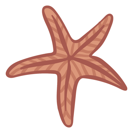 Estrella de mar de color dibujada a mano