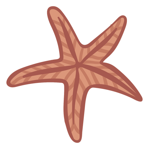 Download Hand Drawn Color Starfish Transparent Png Svg Vector File