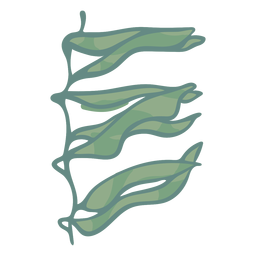 Hand gezeichnete Algen PNG-Design Transparent PNG