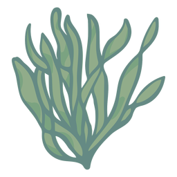 Hand drawn seaweed seaweed PNG Design