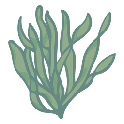 Hand gezeichnete Algen Seetang PNG-Design
