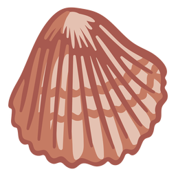Concha dibujada a mano Diseño PNG