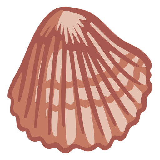 Hand drawn shell PNG Design