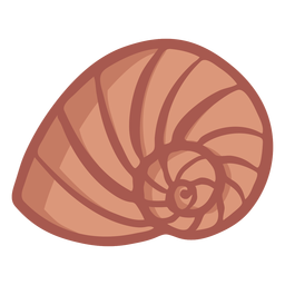 Concha espiral dibujada a mano Diseño PNG
