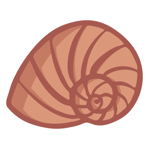 Concha espiral dibujada a mano Diseño PNG