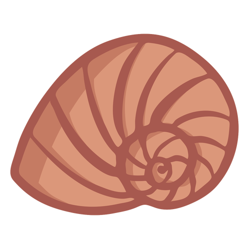 Hand drawn spiral shell PNG Design