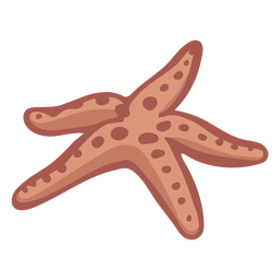 Estrella de mar dibujada a mano Diseño PNG