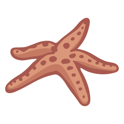 Download Hand drawn starfish - Transparent PNG & SVG vector file