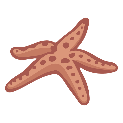 Hand drawn starfish PNG Design