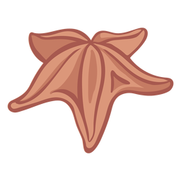 Hand drawn starfish color PNG Design