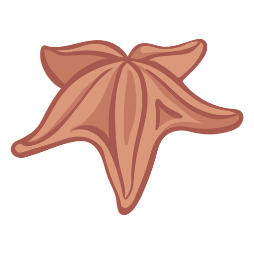 Hand drawn starfish color PNG Design