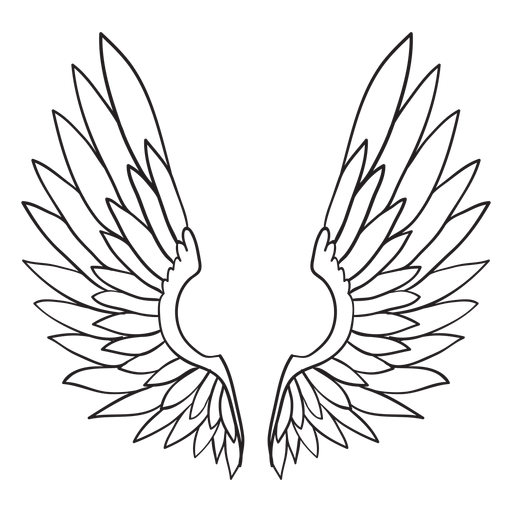 Angel bird wings outline