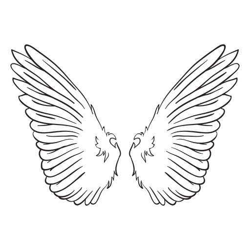 Bird angel wings outline