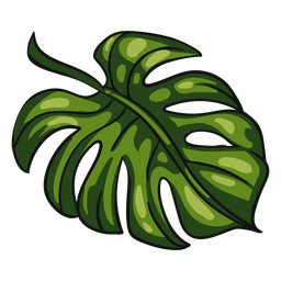Hoja tropical verde Diseño PNG