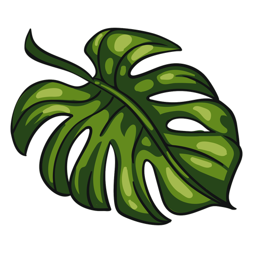 Folha tropical verde Desenho PNG