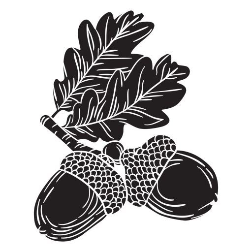 Hand drawn acorn cut out PNG Design