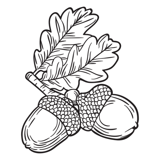 Hand gezeichnete Eichelkontur PNG-Design