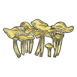 Cogumelo chanterelle desenhado à mão Desenho PNG