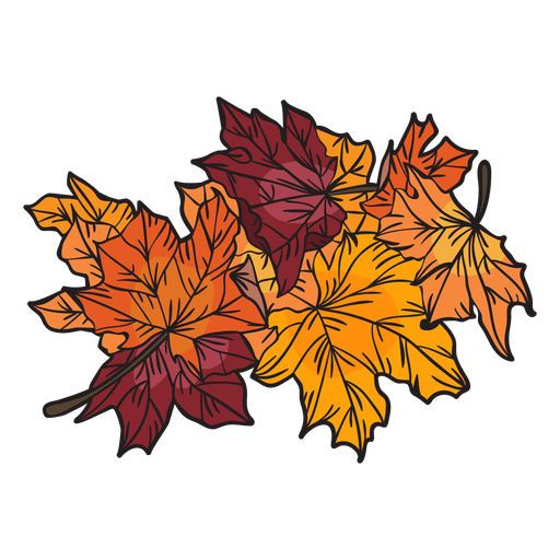 Hand drawn maple leaves PNG Design