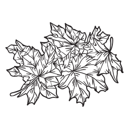 Contorno de folhas de bordo desenhado à mão Desenho PNG