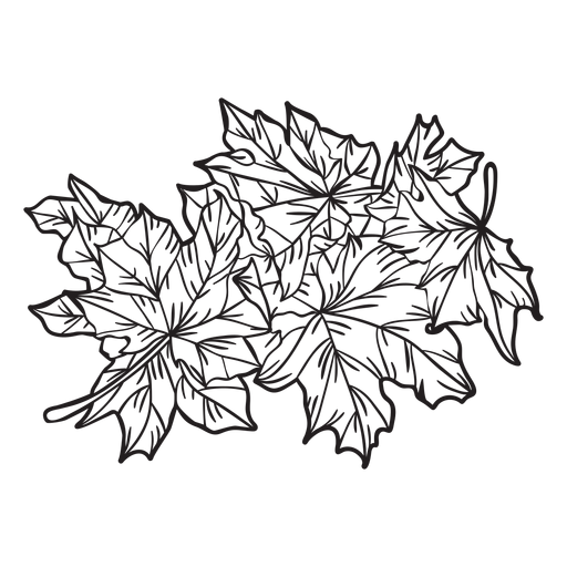 Hand drawn maple leaves outline PNG Design