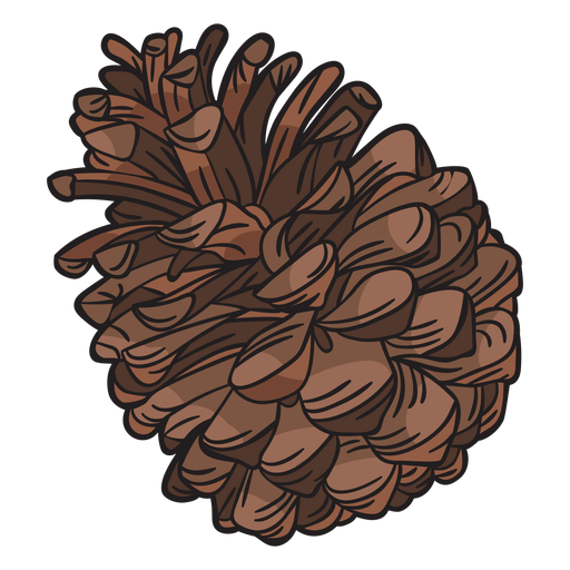 Cono de pino dibujado a mano Diseño PNG