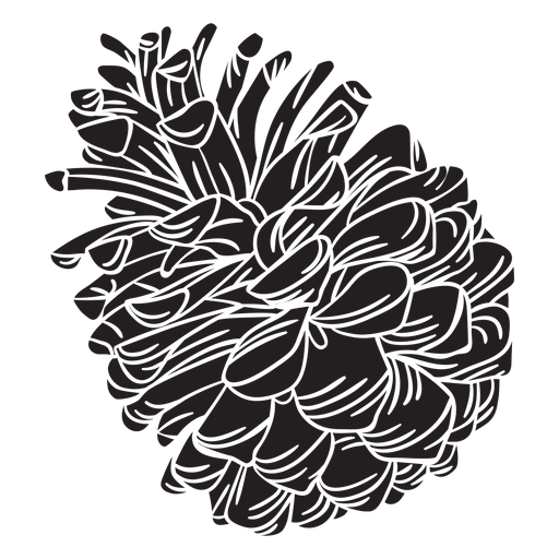 Hand drawn pine cone cut out PNG Design