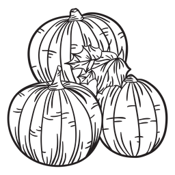 Hand drawn pumpkin outline