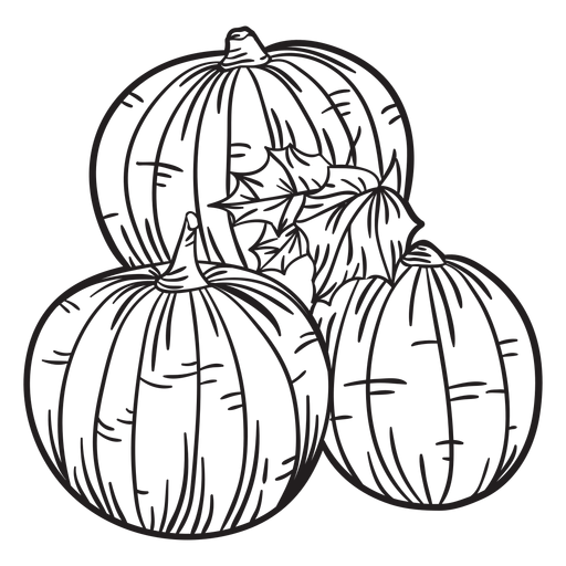 Hand drawn pumpkin outline.
