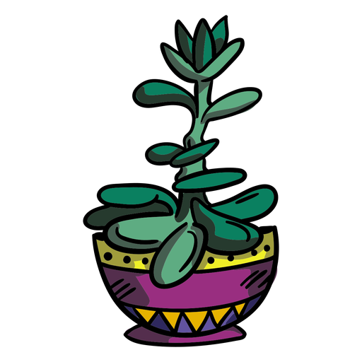 Maceta de plantas de jade suculenta Diseño PNG
